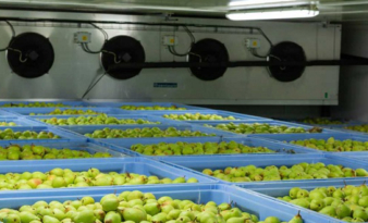 CapTemp Temperature Recording System Ensures Proper Conditions in Fruit Cold Storage Units for Greater Quality Control