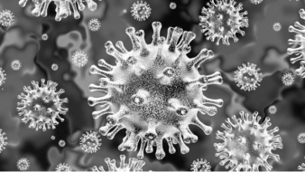Mitigating the risk of Coronavirus to UK supply chains