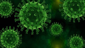 Adapting to the coronavirus challenge