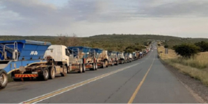 Adapting a road-freight business for survival – and growth – in South Africa’s Covid-19 era